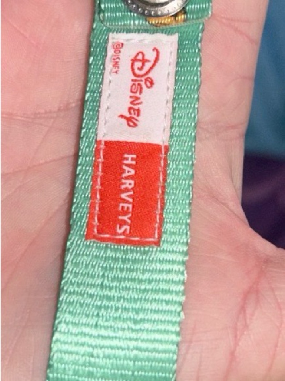 Disney x Harveys CNG